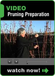 Pruning Preparation